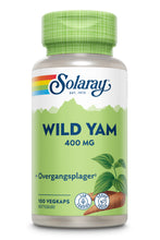 Last inn bildet i Galleri-visningsprogrammet, WILD YAM