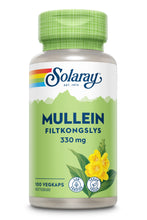 Last inn bildet i Galleri-visningsprogrammet, MULLEIN