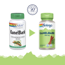 Last inn bildet i Galleri-visningsprogrammet, KANELBARK