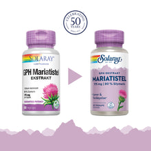 Last inn bildet i Galleri-visningsprogrammet, GPH MARIATISTEL