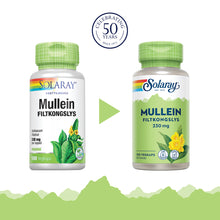 Last inn bildet i Galleri-visningsprogrammet, MULLEIN