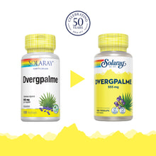 Last inn bildet i Galleri-visningsprogrammet, DVERGPALME