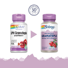 Last inn bildet i Galleri-visningsprogrammet, GPH GRANATEPLE