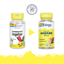 Last inn bildet i Galleri-visningsprogrammet, FERMENTERT INGEFÆR