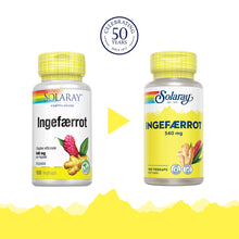 Last inn bildet i Galleri-visningsprogrammet, INGEFÆRROT