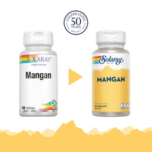 Last inn bildet i Galleri-visningsprogrammet, MANGAN