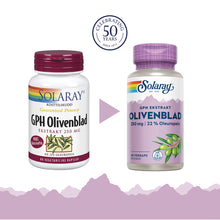 Last inn bildet i Galleri-visningsprogrammet, GPH OLIVENBLAD