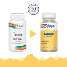 Last inn bildet i Galleri-visningsprogrammet, TAURIN