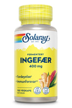 Last inn bildet i Galleri-visningsprogrammet, FERMENTERT INGEFÆR